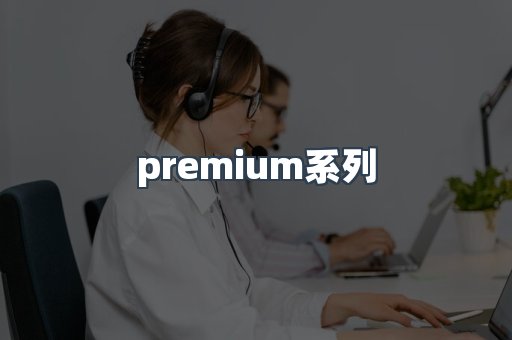 premium系列
